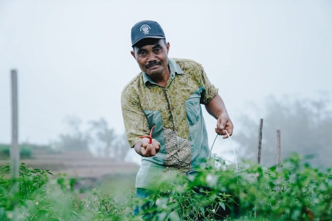 YRE_Sulawesi_jinpanji-164