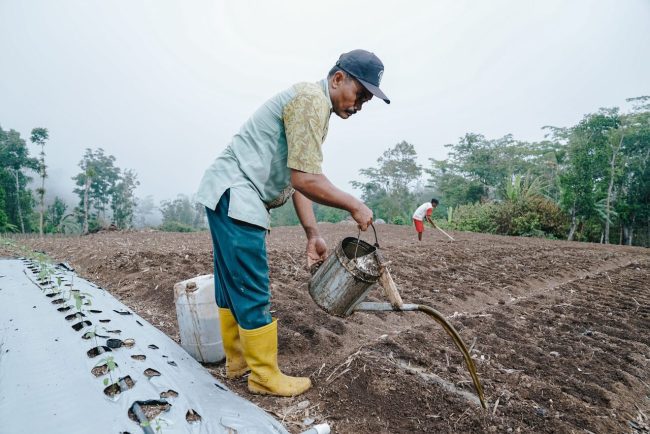 YRE_Sulawesi_jinpanji-109